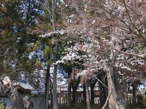 250407式内大津神社 (1).jpg