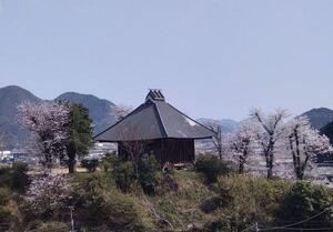 250407権現の森 (2).jpg