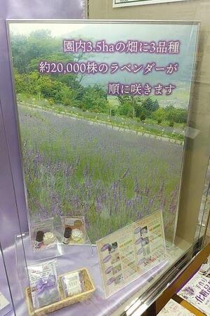 IMG_20250512_202344.jpg