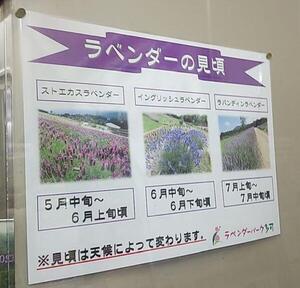 IMG_20250512_202353.jpg