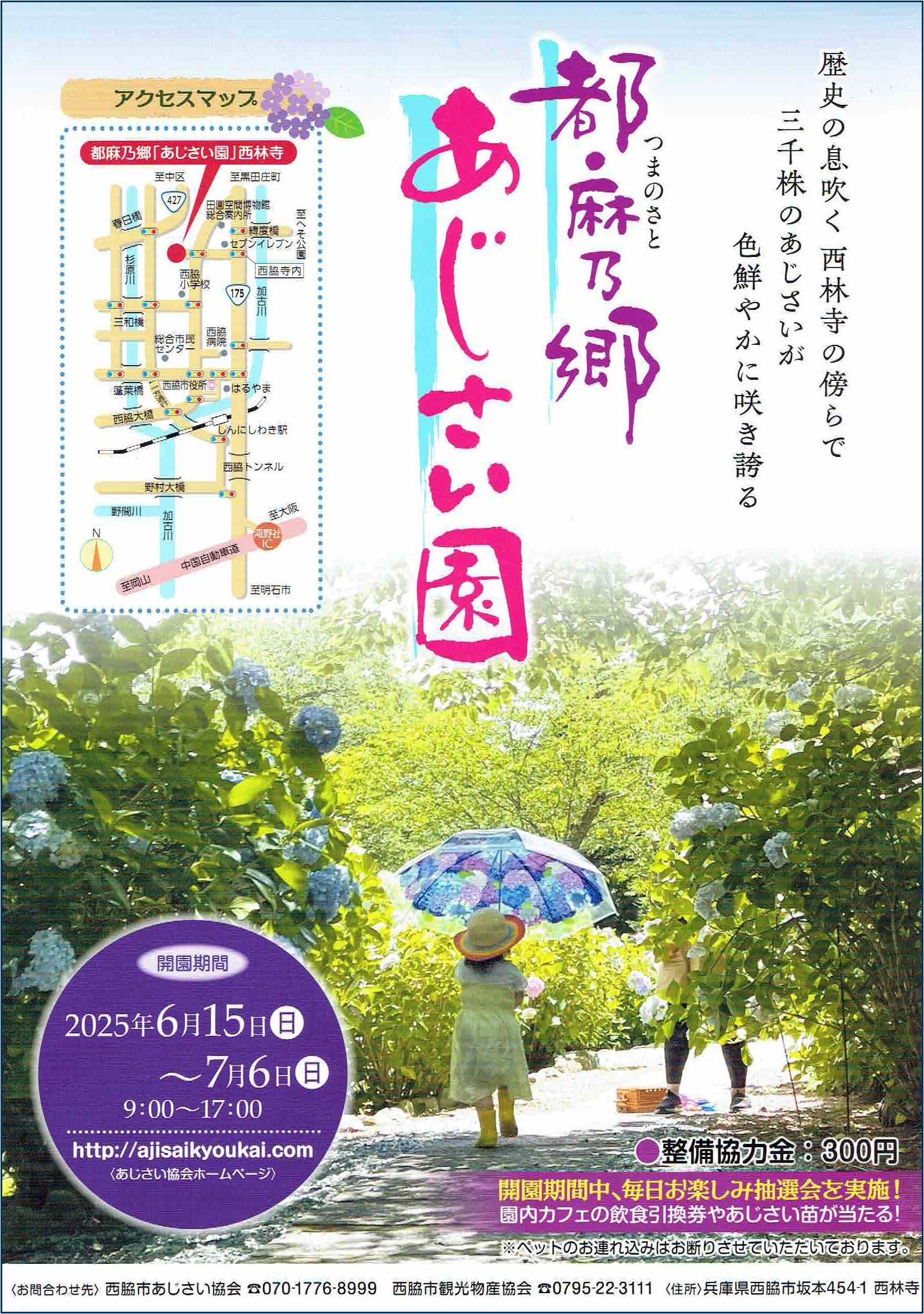 6/15～7/6　都麻乃郷あじさい園　開園