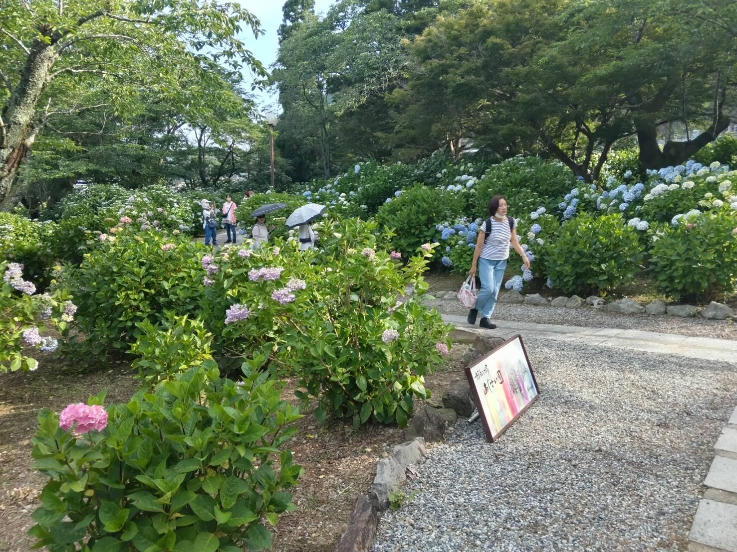 250616　【レポート】三ノ宮発バスツアー　緑濃い清流でホタルの乱舞を追う