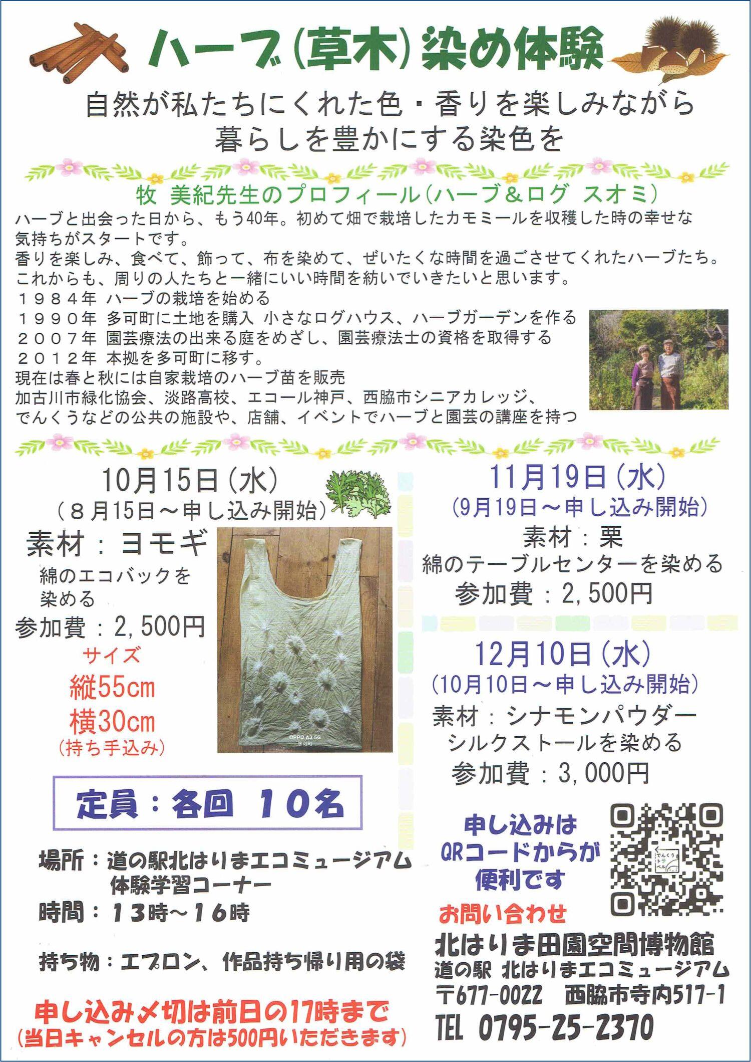 10/15　ヨモギの草木染め体験：でんくう体験学習室