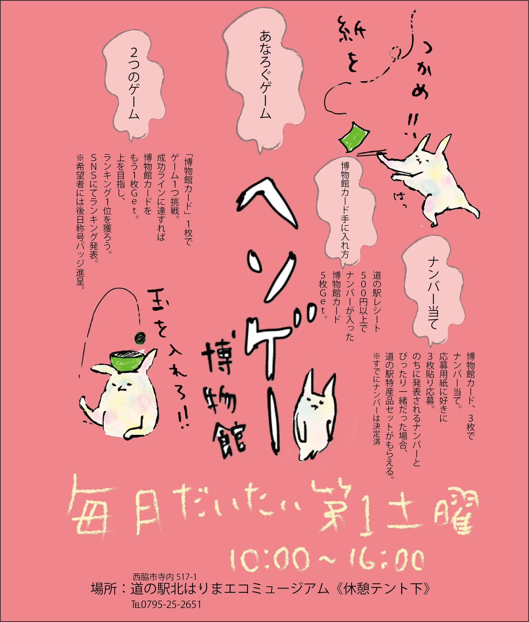 「ヘソゲー博物館」 毎月だいたい第１土曜日に開催：道の駅北はりまエコミュージアム
