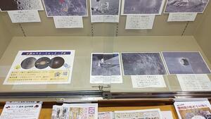 IMG_20251010_163827.jpg