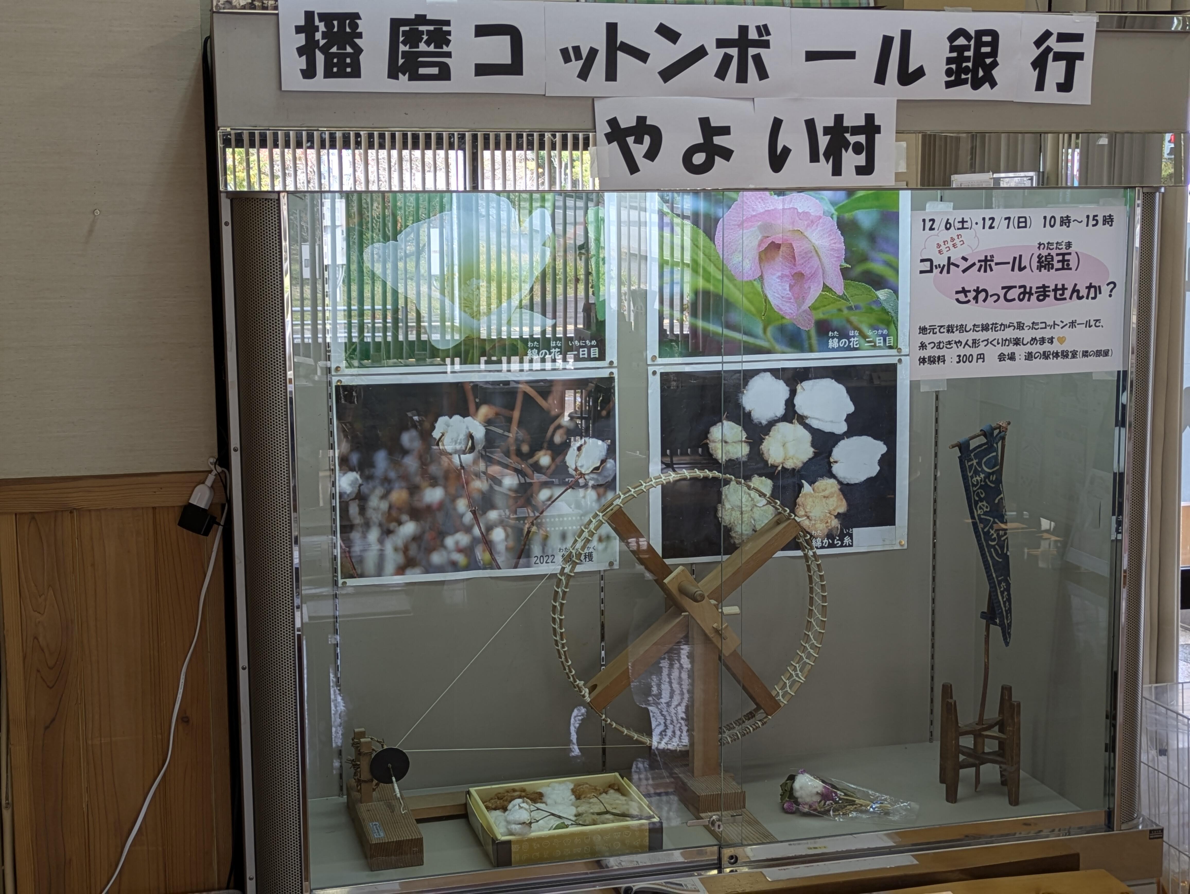 12月のショーケース展示：はりまコットンボール銀行やよい村