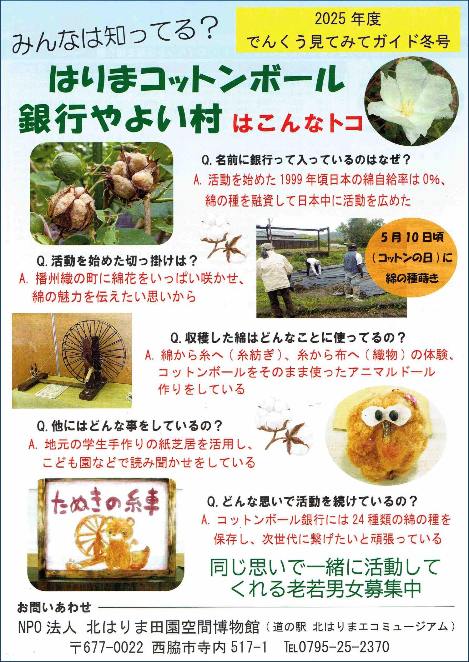 冬の見てみてガイド＆イベントカレンダー