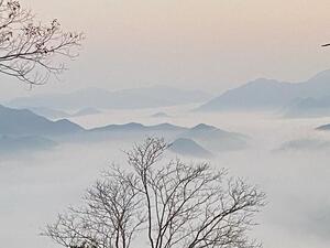 入賞33#にしわき10山フォトコン #登ろう矢筈山 2022.11.22. AM6：19 矢筈山三角点山頂から北東方面の 幻想的な朝焼け.jpg