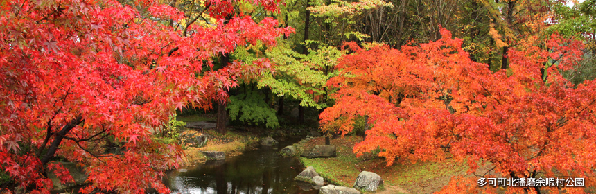 余暇村公園の紅葉