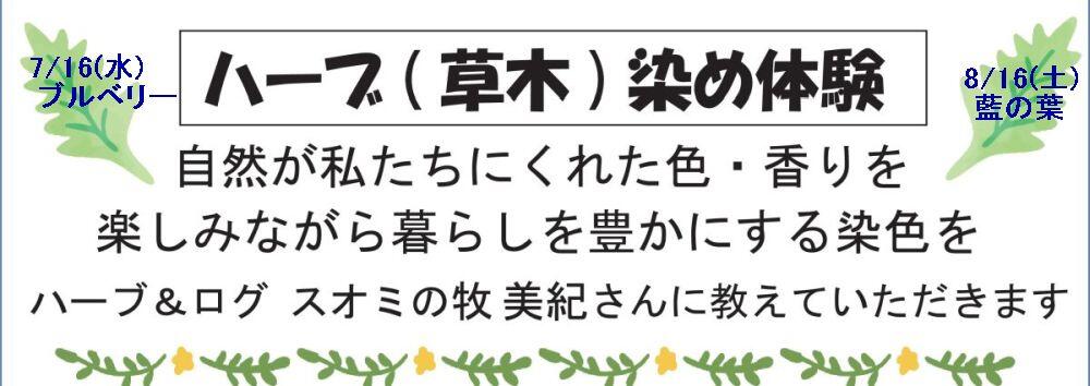 ハーブ染め2・3