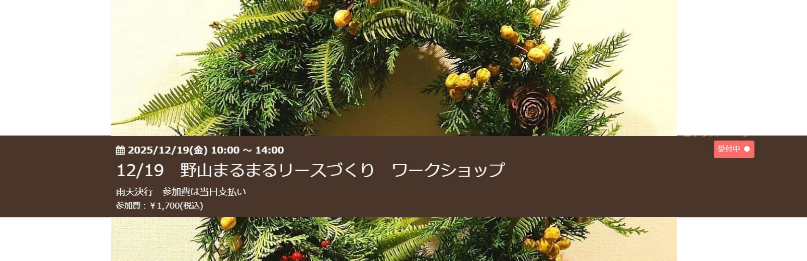 12/19野山まるごと