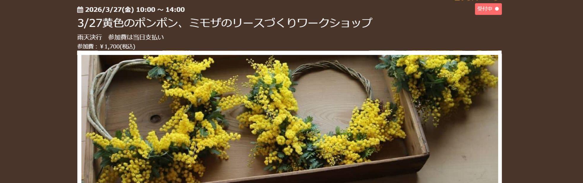 3/27　黄色のボンボン